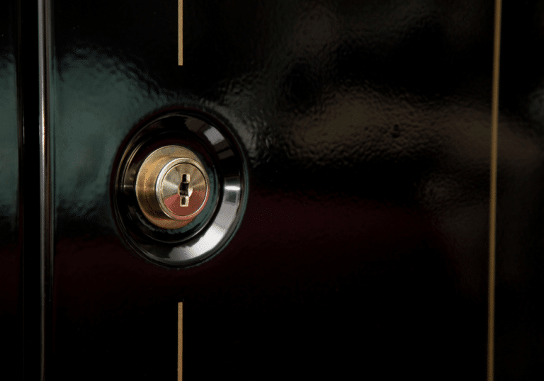 Gun Safe